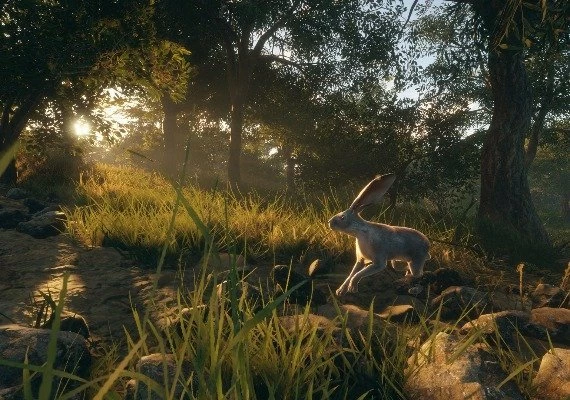 theHunter: Call of the Wild - Rancho del Arroyo DLC Global