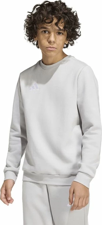 Duks për fëmijë adidas Entrada 26 JZ6551, gri [Madhësia: 152 cm]