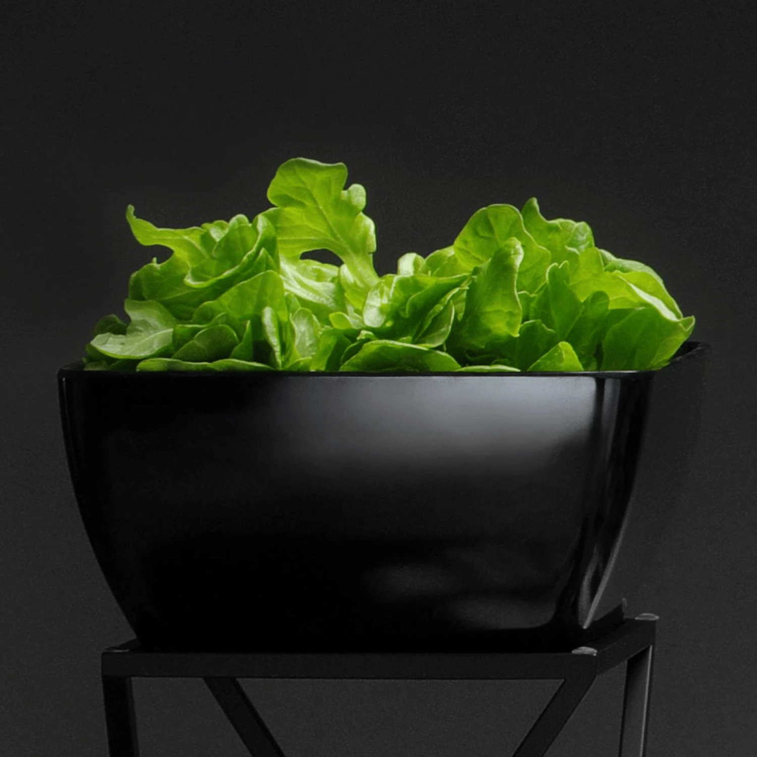 Tas melamine katror, Fine Dine, 1.9 L, 190x190x90 mm, gri grafit
