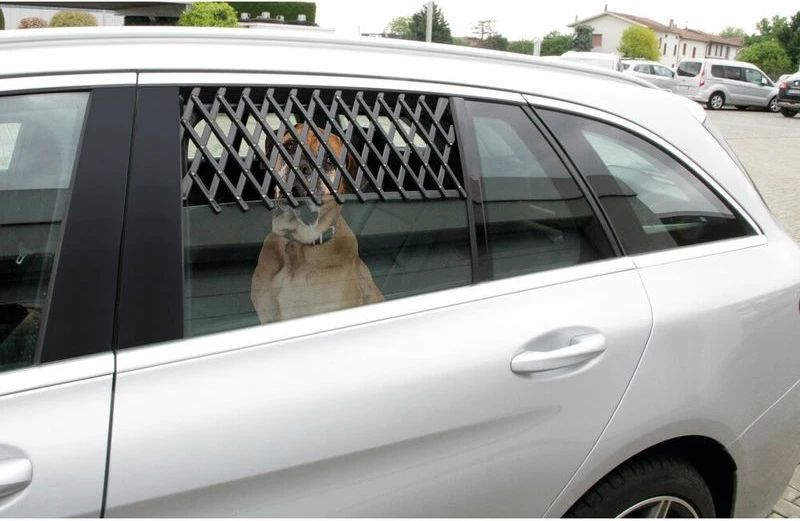 Porte Dritare Per Kafshe S