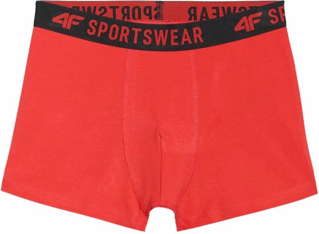 Të brendshme për djem 4F, multikolor