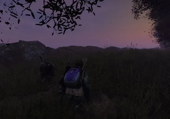 DayZ Deluxe Edition EN Global