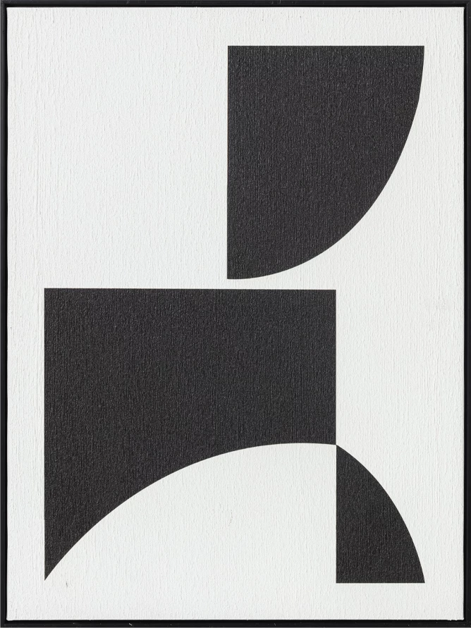 Pikturë dekorative CONTRAST, kanavacë, MDF, e bardhë/zezë, 60x80x3.2cm