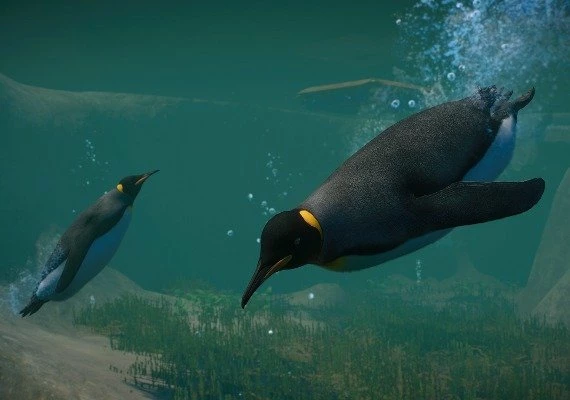 Planet Zoo - Aquatic Pack DLC Global