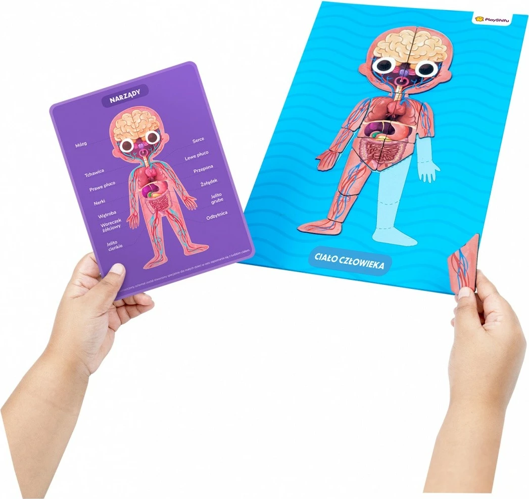 Set edukativ magnetik, PlayShifu, My Super Human Body 011-BLM0012, 90 pjesë, tabelë magnetike, moshat 5-12, set