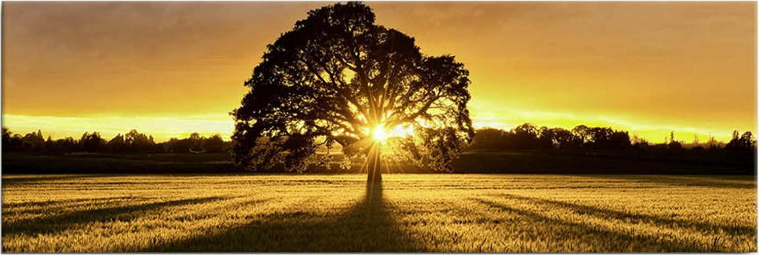 Pikturë dekorative në kanavacë me drita LED, shumëngjyrëshe, Wallity 3090DACT-68, 30x90cm