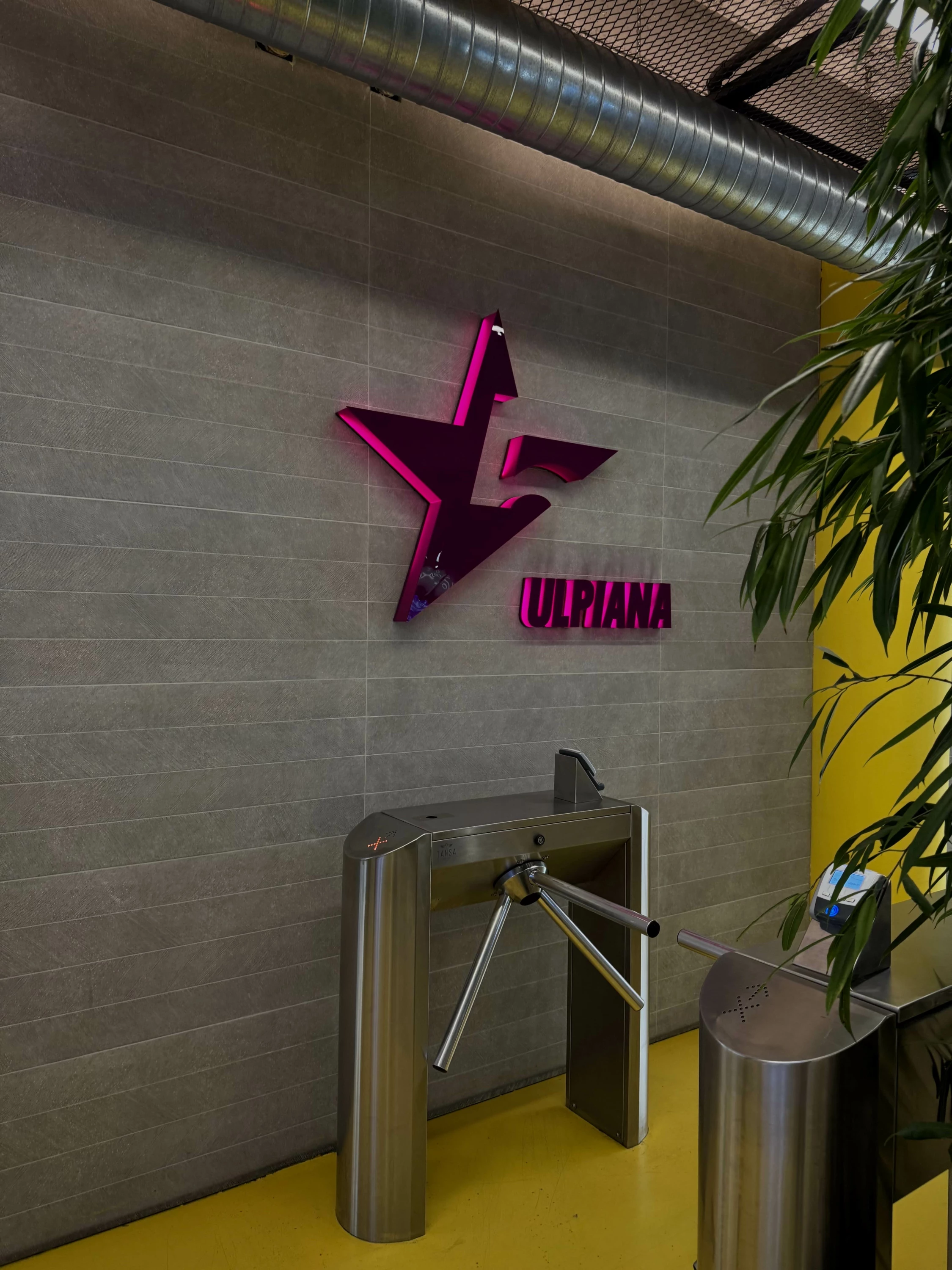 Pako fitnesi Fitstar UniClub, 1 vjeçare