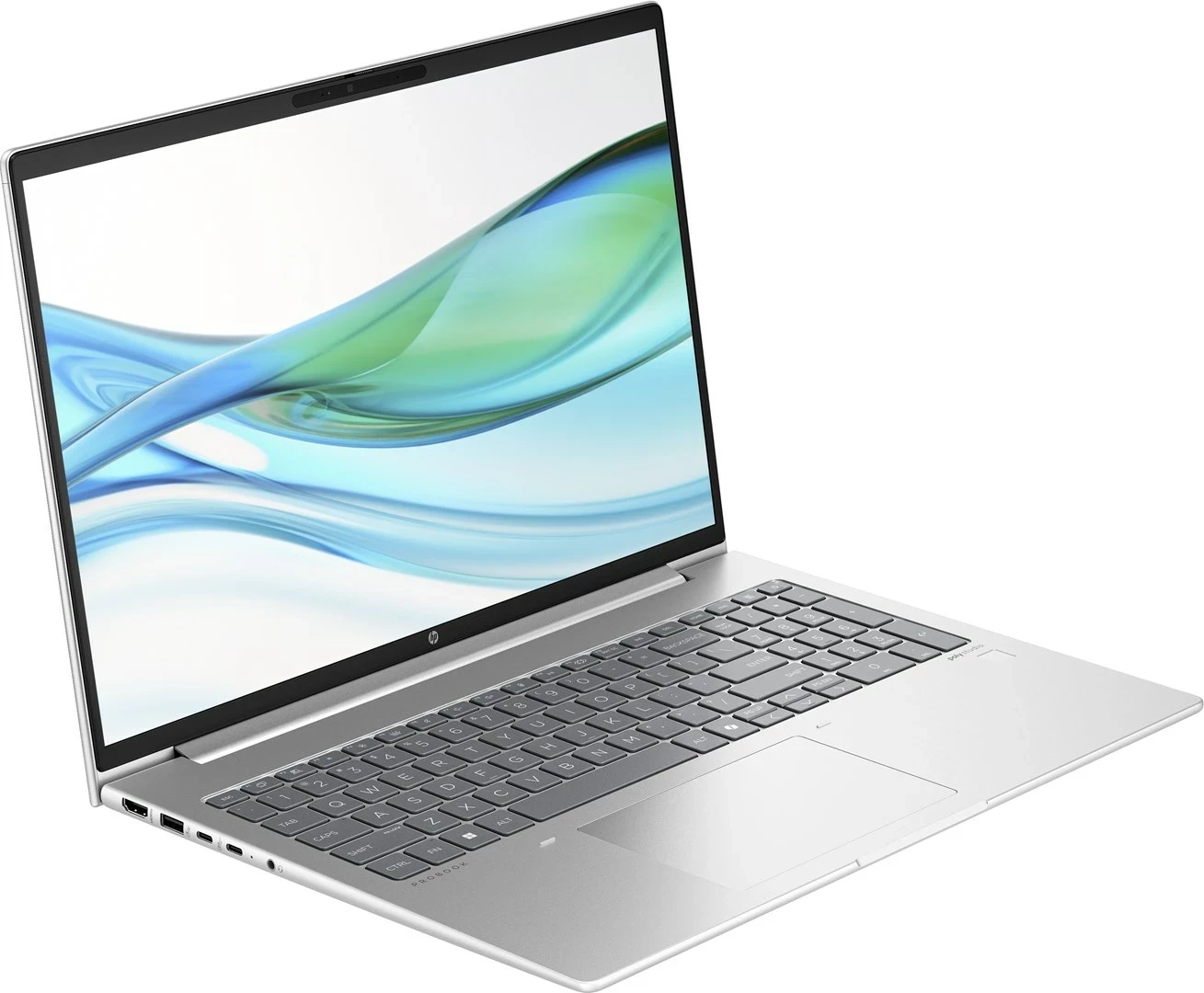 Laptop HP ProBook 465 G11, 16", Ryzen 5 7535U, 16GB RAM, 1TB SSD, Radeon 660M, Argjendtë