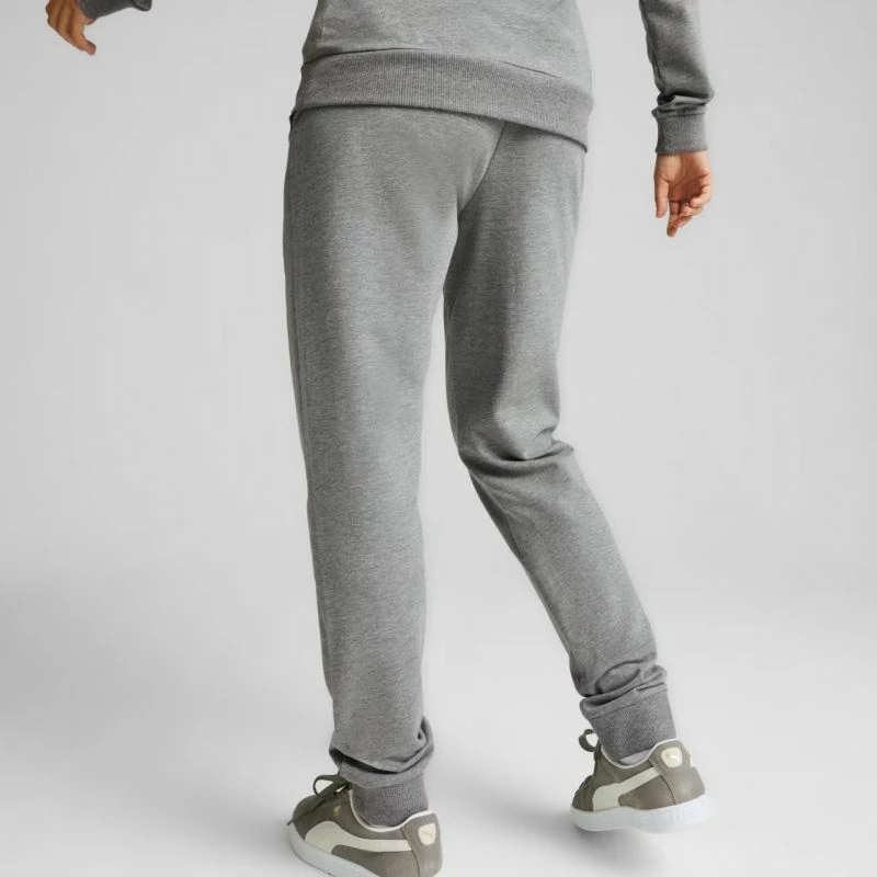 Pantallona Puma femra, gri