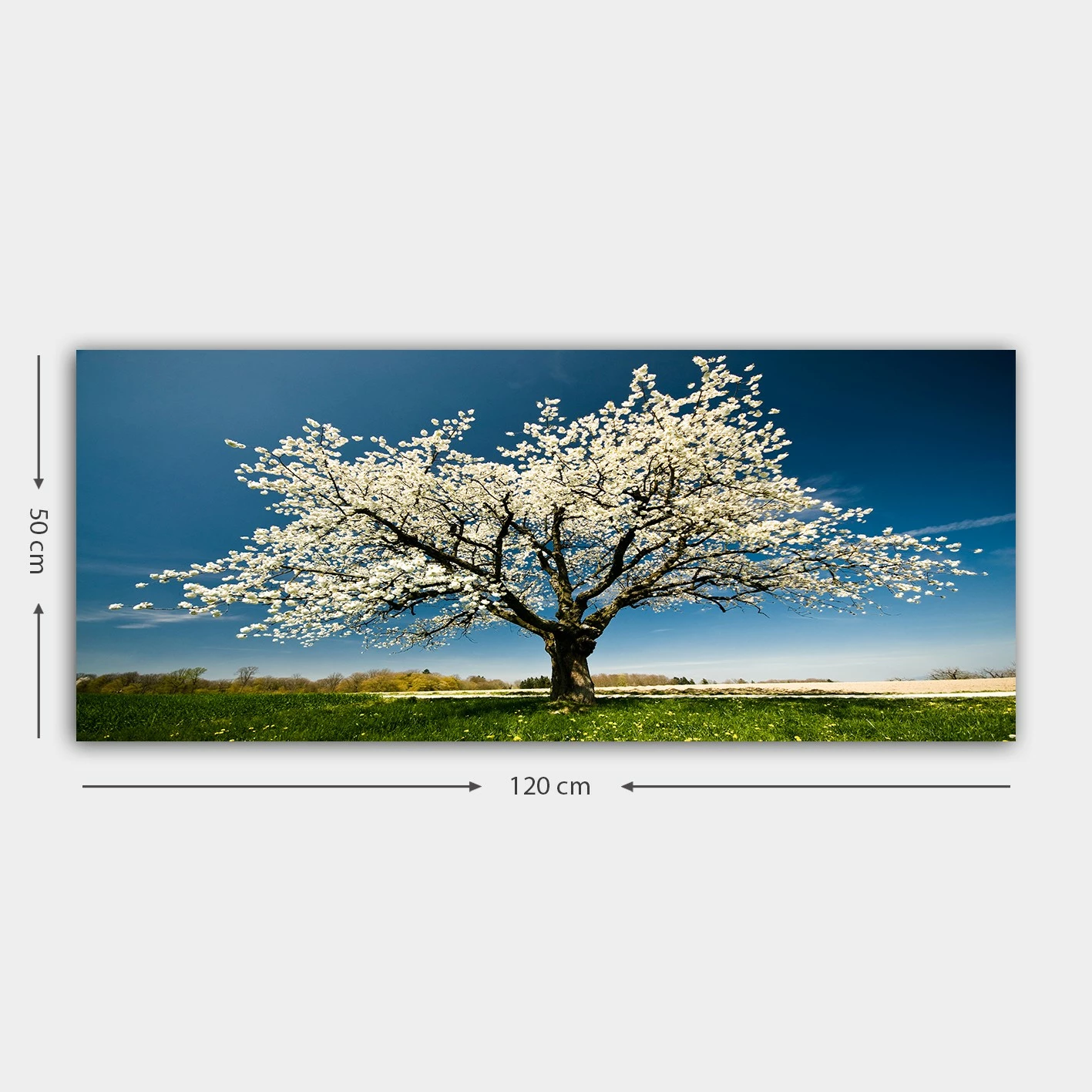 Pikturë dekorative në kanavacë, shumëngjyrëshe, Wallity YTY1233464_50120, 50x120cm