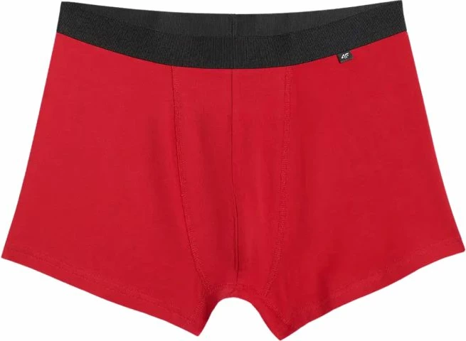 Të brendshme për meshkuj 4F, multicolor