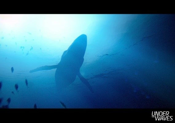 Under The Waves Global