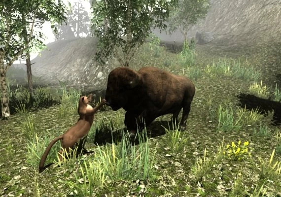Untamed: Life Of A Cougar EN/FR/PT Global