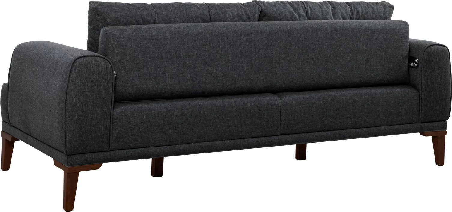 Divan treshe Atelier del Sofa, Vina 3, anthracite, walnut