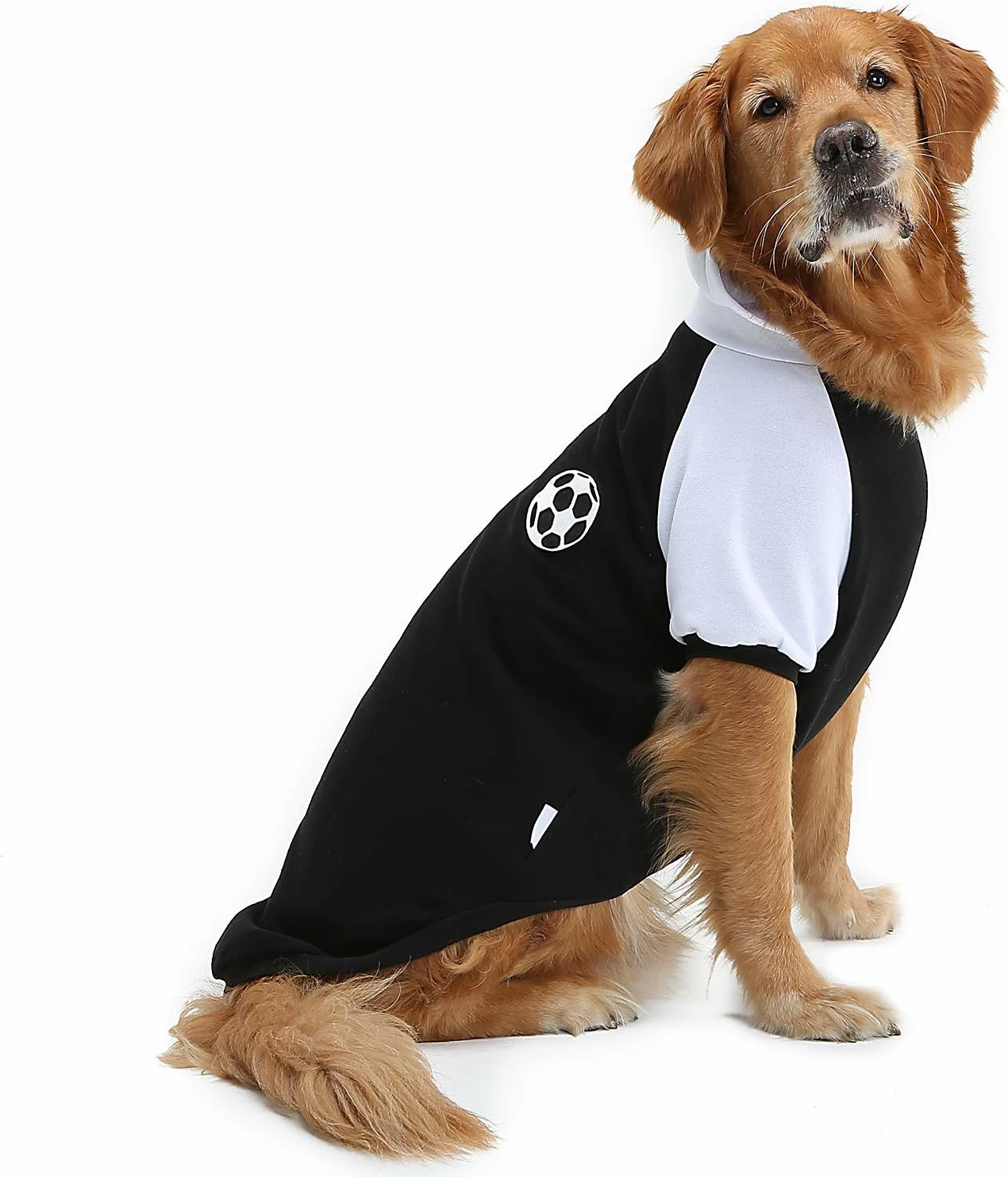 Hudi për qen, e zezë, Paws & Whiskers, Blackballsweat