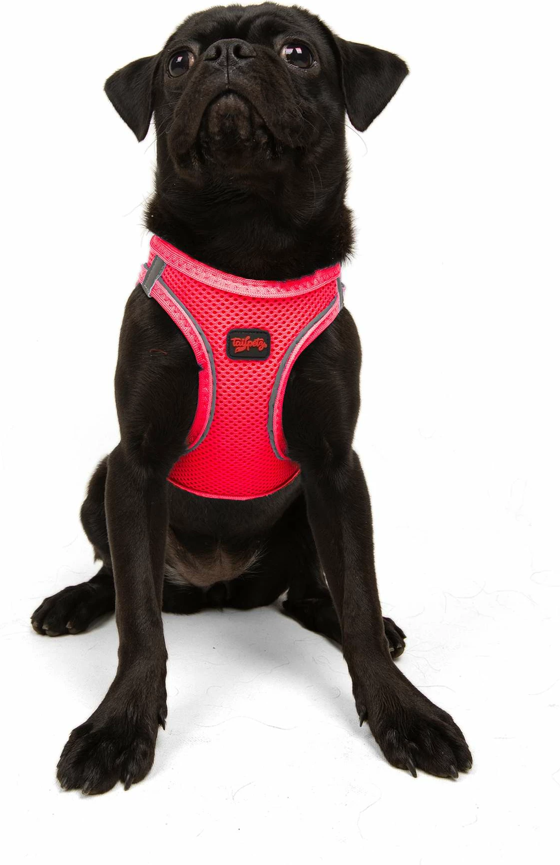 Parzmore për qen, ngjyrë Neo Pink, Air-Mesh