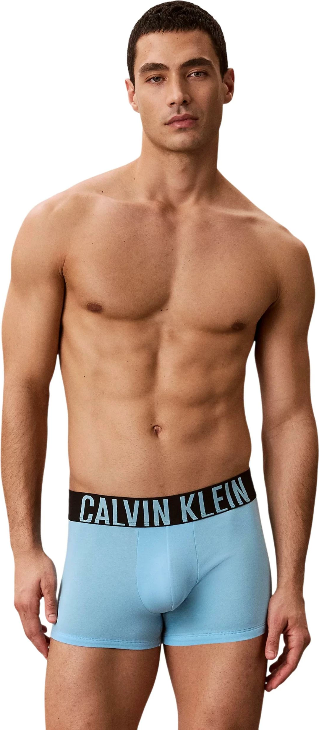 Të brendshme për meshkuj Calvin Klein Underwear TRUNK 3PK 000NB3608A, gri/zeza [Madhësia: L]