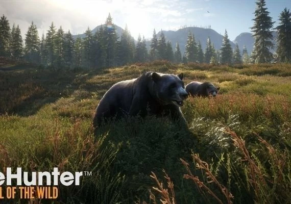 theHunter: Call of the Wild - Assorted Sidearms Pack DLC EN Global
