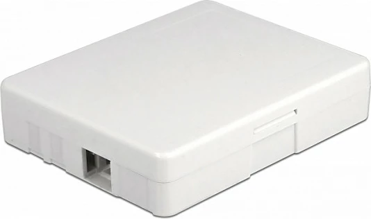 Prizë optike muri DeLOCK, 2x SC Simplex ose LC Duplex, e bardhë