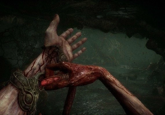 Scorn Deluxe Edition Global