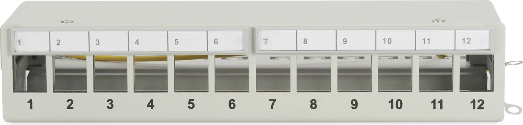 Patchpanel Digitus 12-porta, 1U, RJ-45, gri