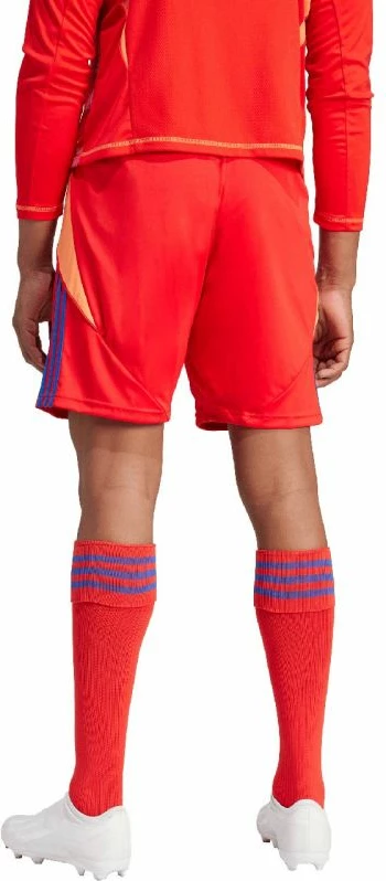 Shorce për meshkuj adidas Tiro 24, të kuqe dhe blu