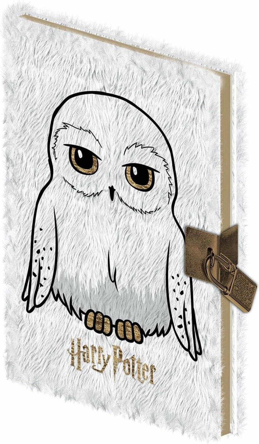 Bllok shënimesh Pyramid International Harry Potter Hedwig A5 me dry