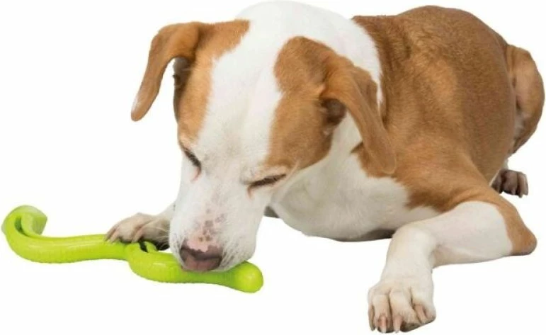 Lodër për qen TRIXIE Treat Hose, e gjelbër, 27 cm