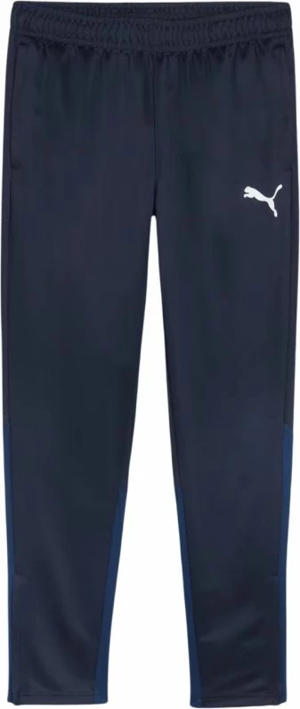 Pantallona sportive për meshkuj Puma, të kaltra