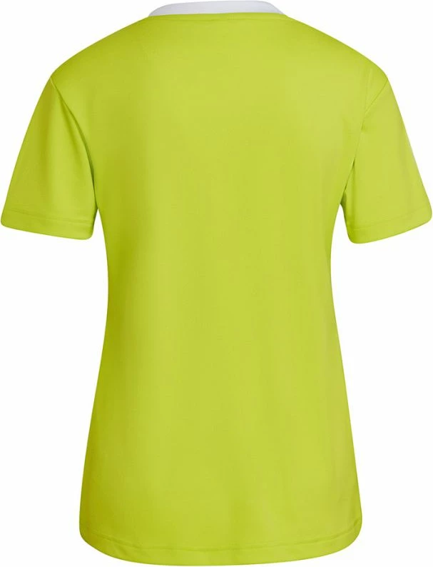 Maicë për Femra adidas Entrada 22 Jsy, ngjyrë jeshile HC5080 [Madhësia: XS]