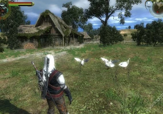 The Witcher: - Director's Cut Enhanced Edition EN/DE/FR/IT/ES Global