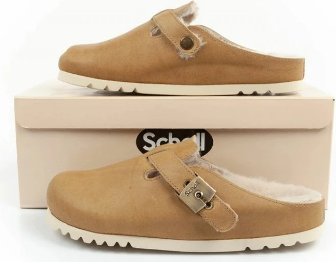 Papuqe Scholl femra, kafe