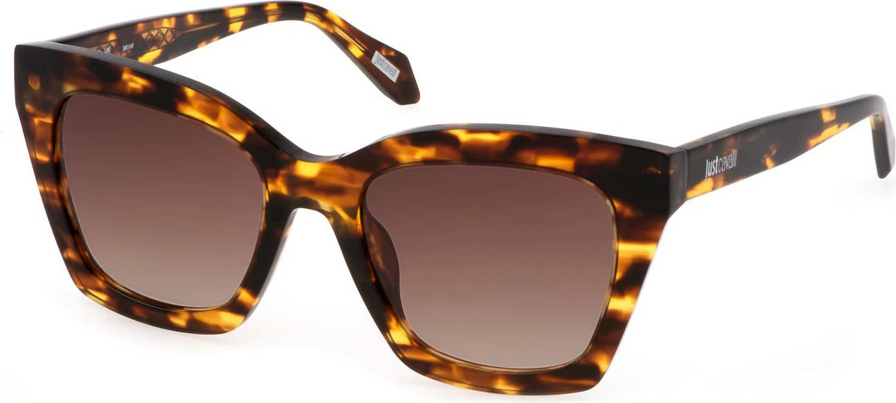 Syze dielli JUST CAVALLI femra, kafe