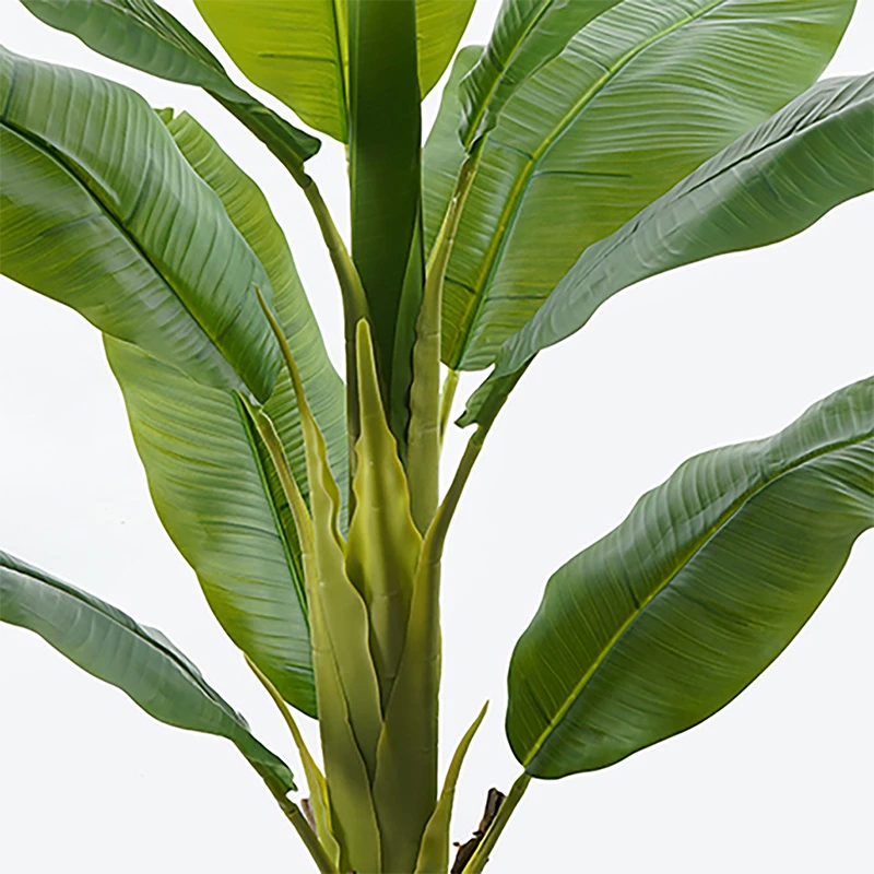 Bimë dekorative Banono në vazo, ngjyrë e gjelbër, 95x160cm