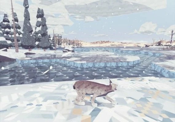 Shelter 2 EN/DE/FR/IT Global