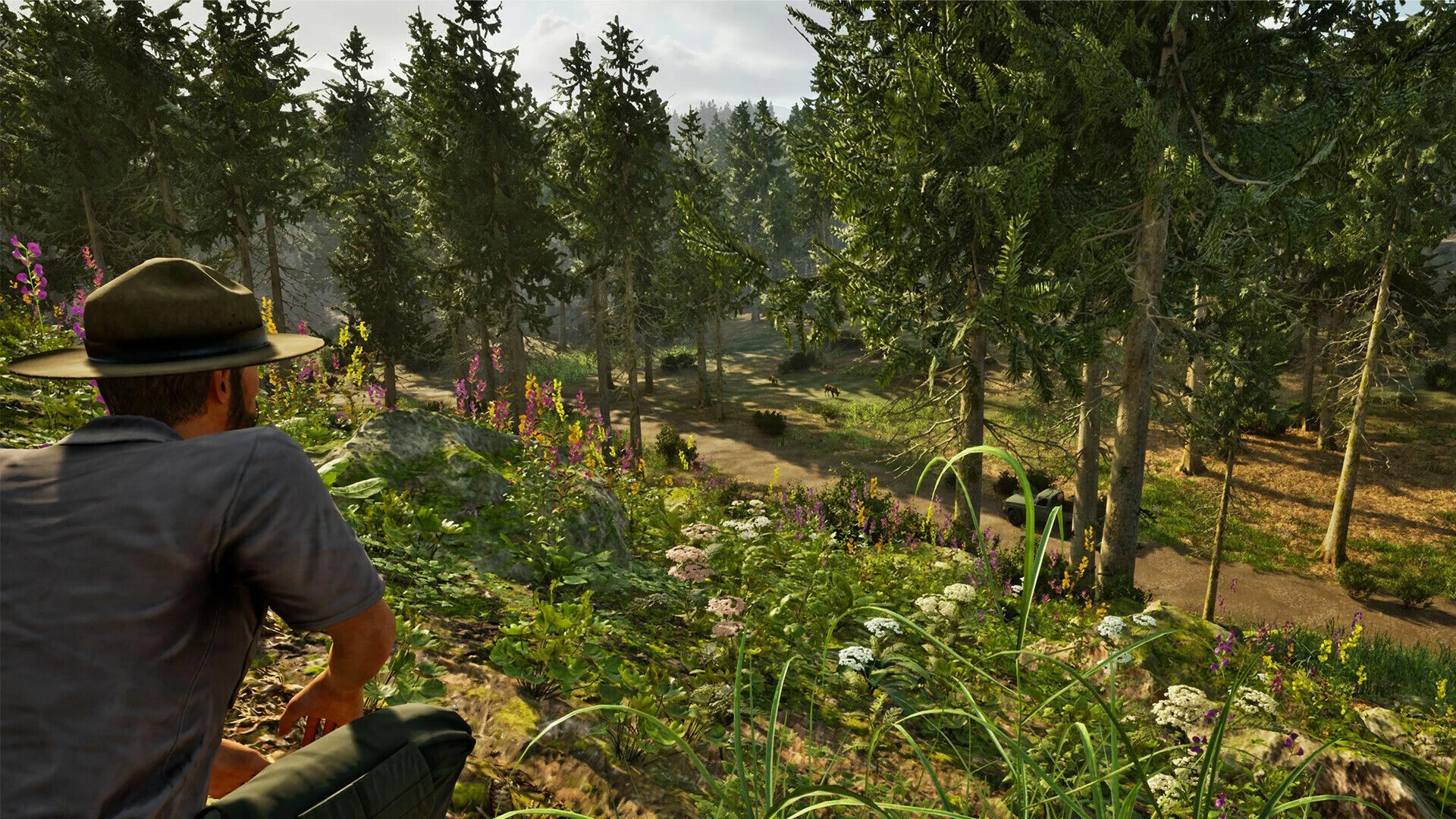 Lojë PS5 Aerosoft Park Ranger Simulator, PEGI 12