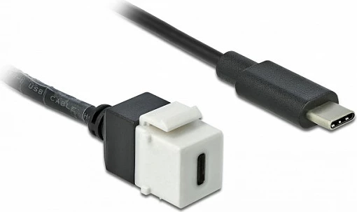 Modul Keystone USB-C DeLOCK 86399, USB-C femër në USB-C mashkull, flat, zi/bardhë