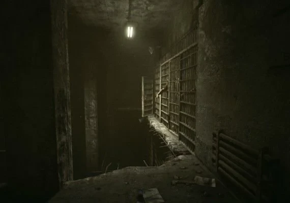 Outlast - Trinity EN Global
