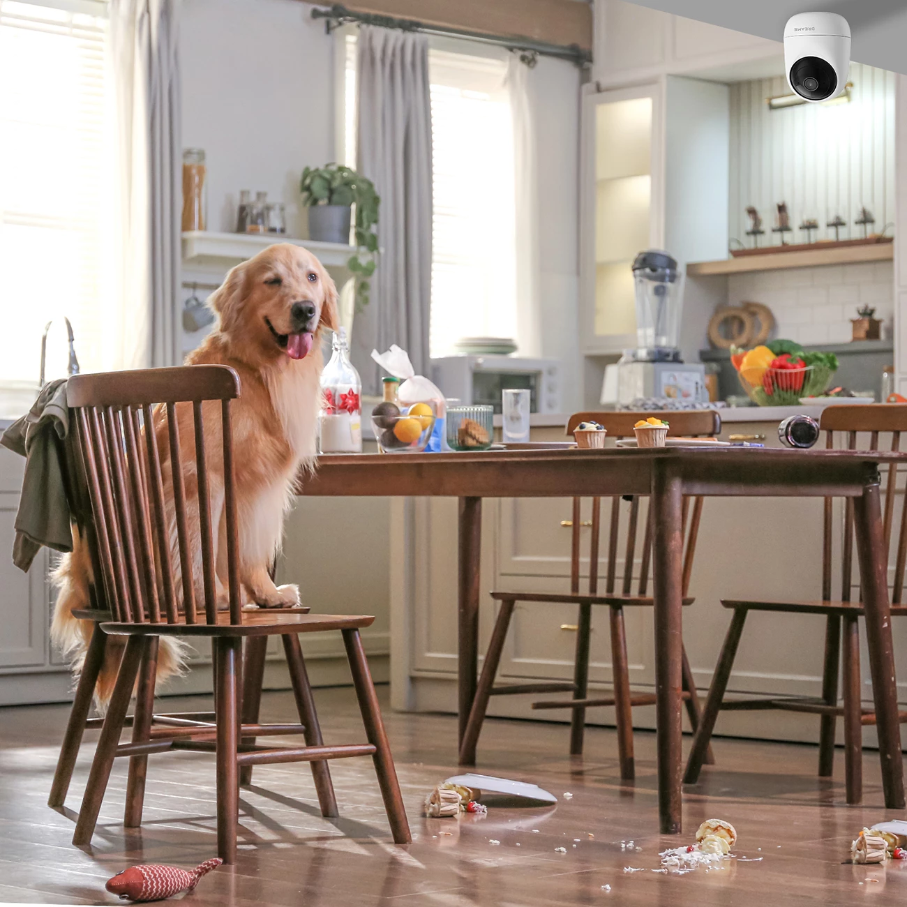 kamerë sigurie e brendshme Dreame Navo Care SE 1 InCam A121 3MP 1080p panoramim 360° IR 10 m Wi‑Fi 2.4/5 GHz e bardhë