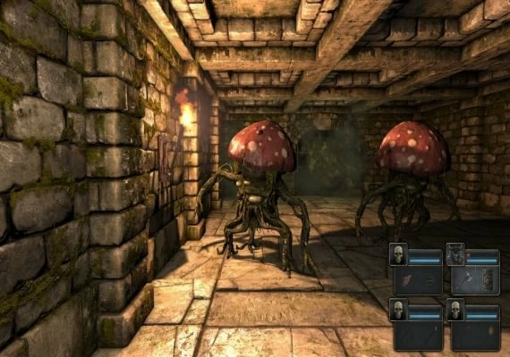 Legend of Grimrock EN Global