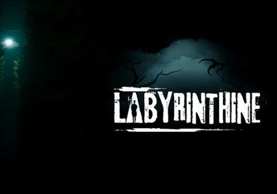 Labyrinthine EN/DE/FR/NL Global