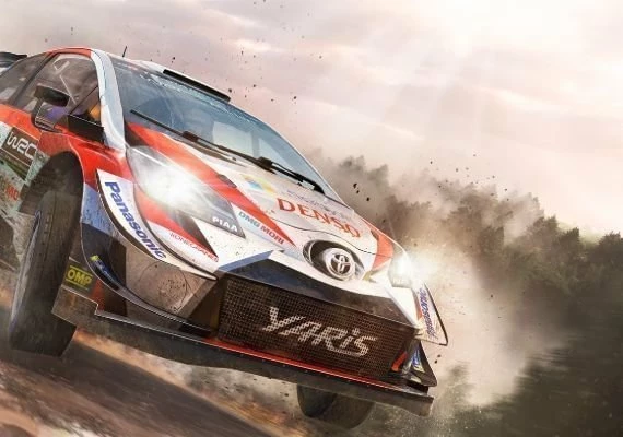 WRC 8: FIA World Rally Championship Global