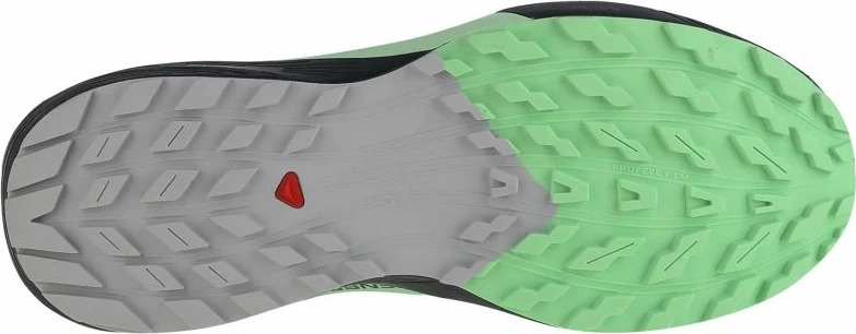 Atlete për vrapim për femra Salomon Sense Ride 5 GTX, blu