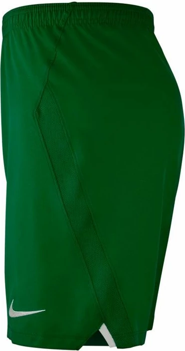 Shorce për meshkuj Nike, të gjelbra