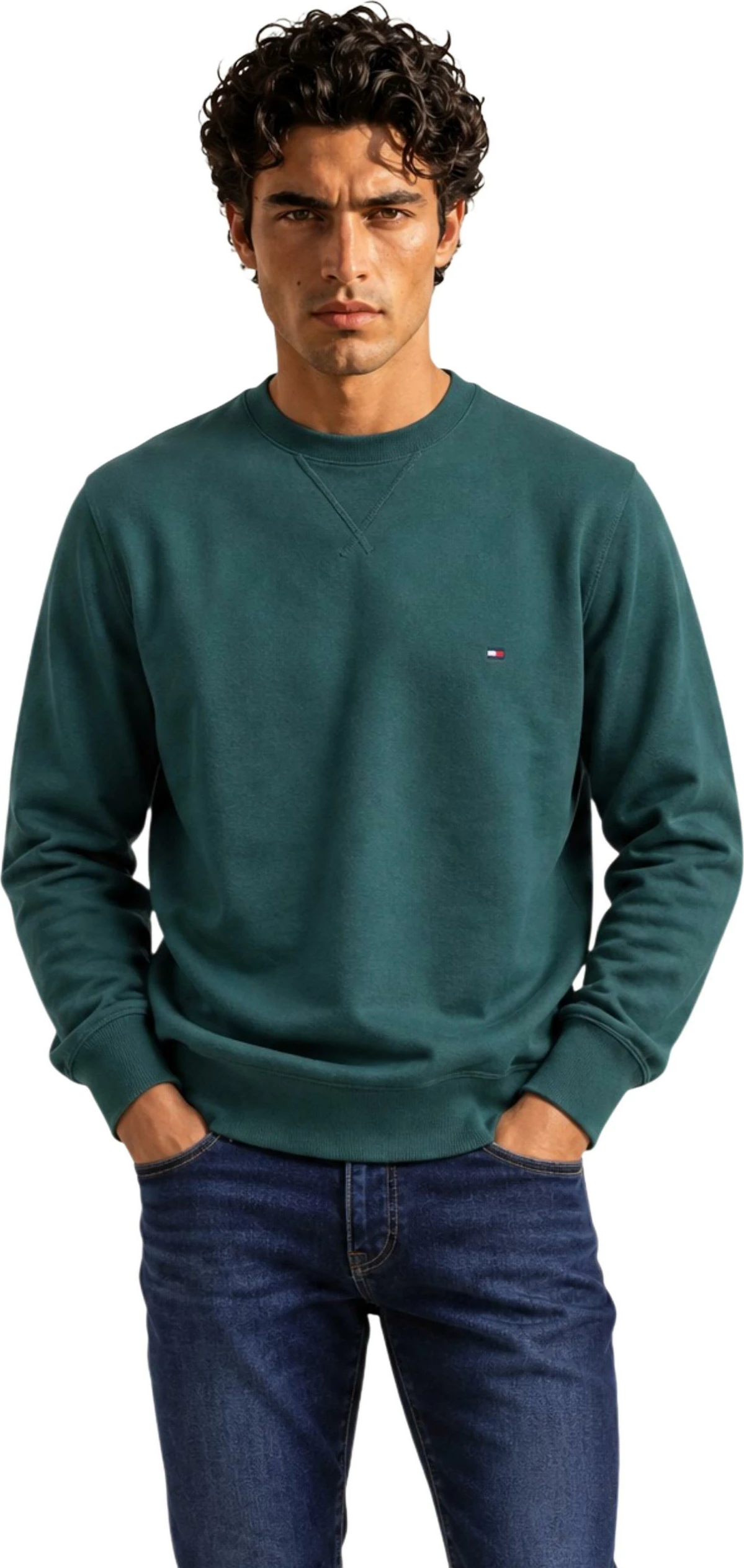 Duks për meshkuj Tommy Hilfiger ESS Seasonal Fleece MW0MW40000, i gjelbër