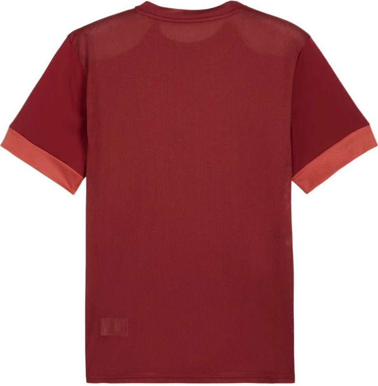 Fanellë futbolli Puma për meshkuj, burgundy [Madhësia: XL]