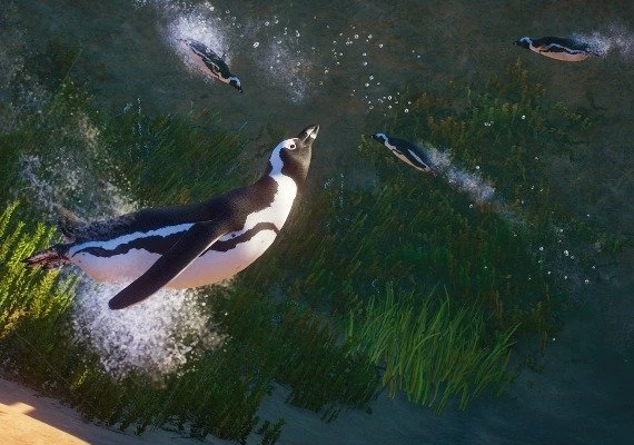 Planet Zoo - Africa Pack DLC Global