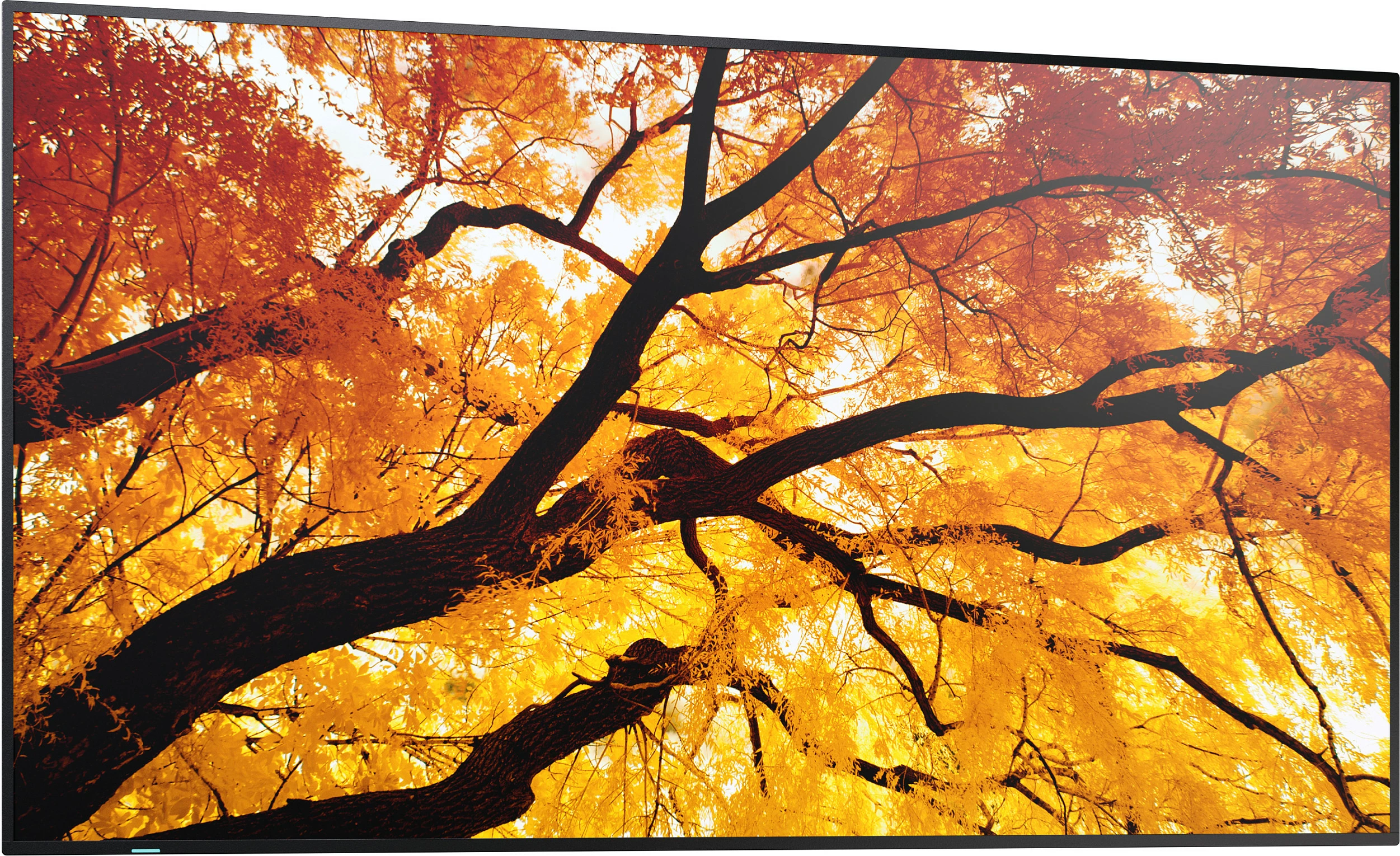 Ekran digital signage Sharp MultiSync M982, 98", 4K UHD, LED