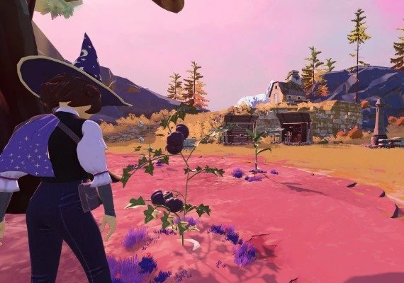 Homestead Arcana EN/DE/FR/PT/ZH/ES/TH Global