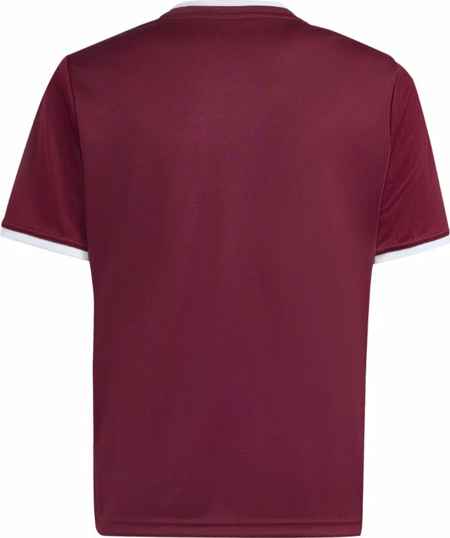 Fanellë futbolli për fëmijë adidas Entrada 26 JZ2530, burgundy [Madhësia: 152 cm]